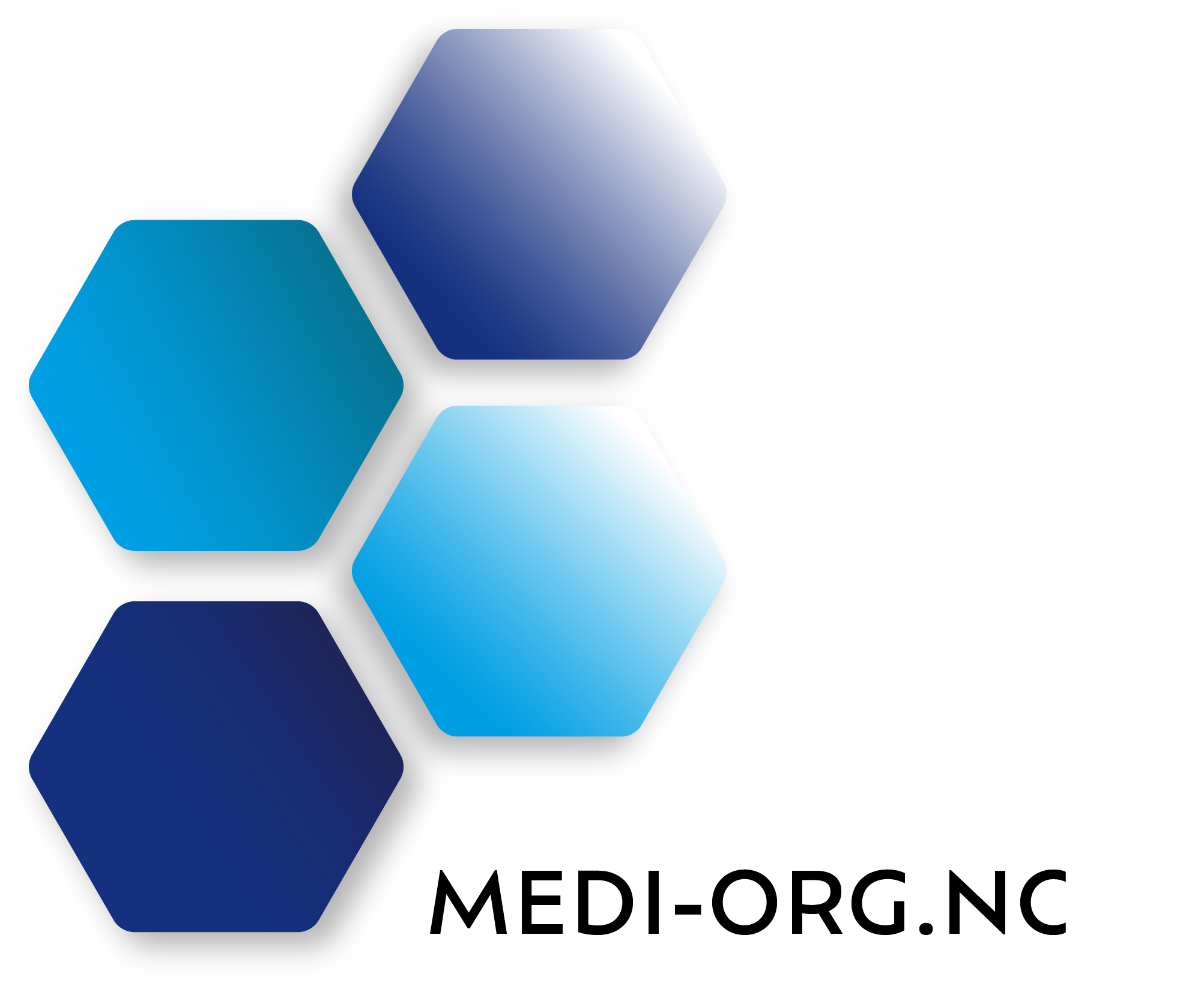 Logo MEDI-ORG.NC